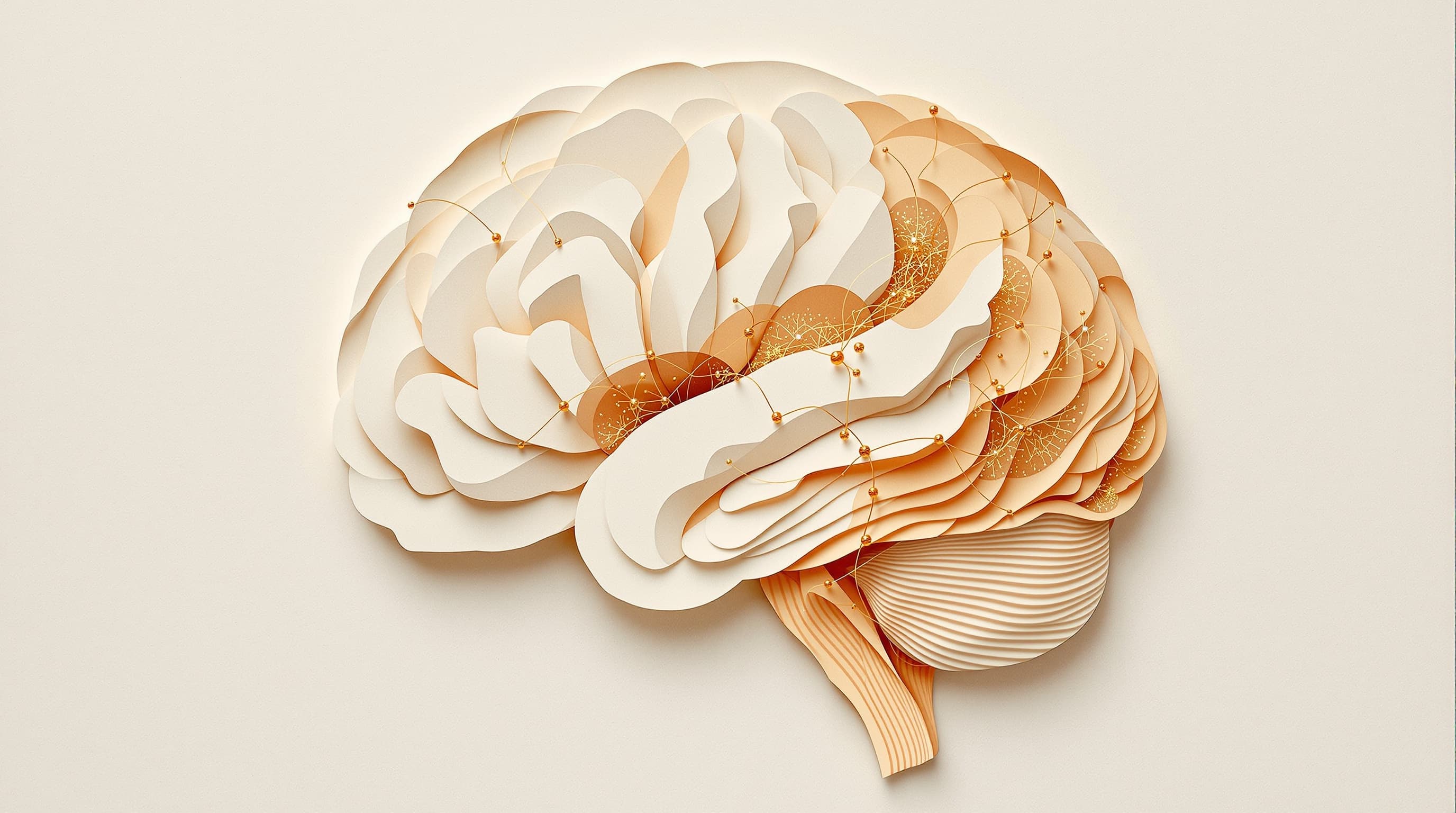 Was in den Wechseljahren wirklich in deinem Gehirn passiert