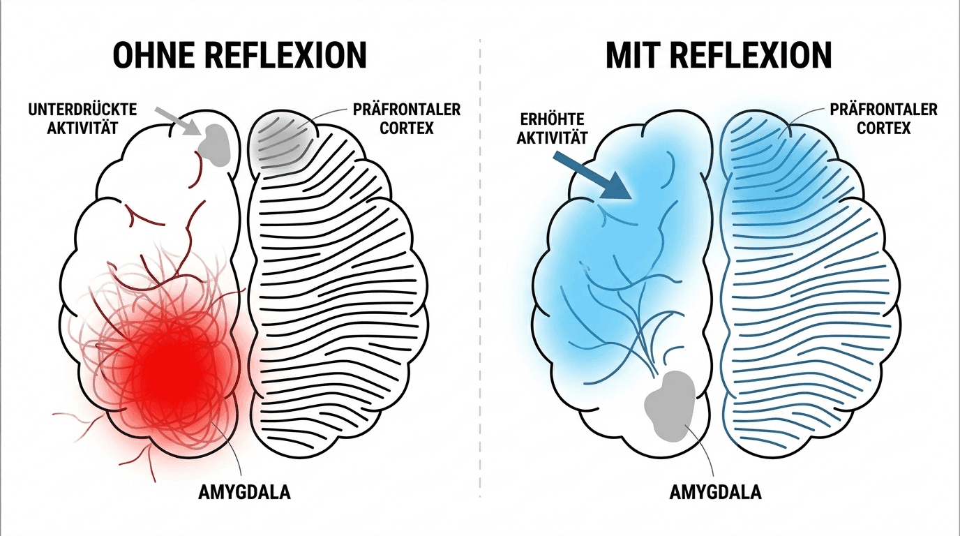 Reflexion verändert, wie dein Gehirn Erfahrungen verarbeitet
